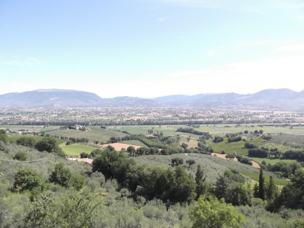 A Casa Di Mi Appartamenti Vacanza Montefalco Quarto foto