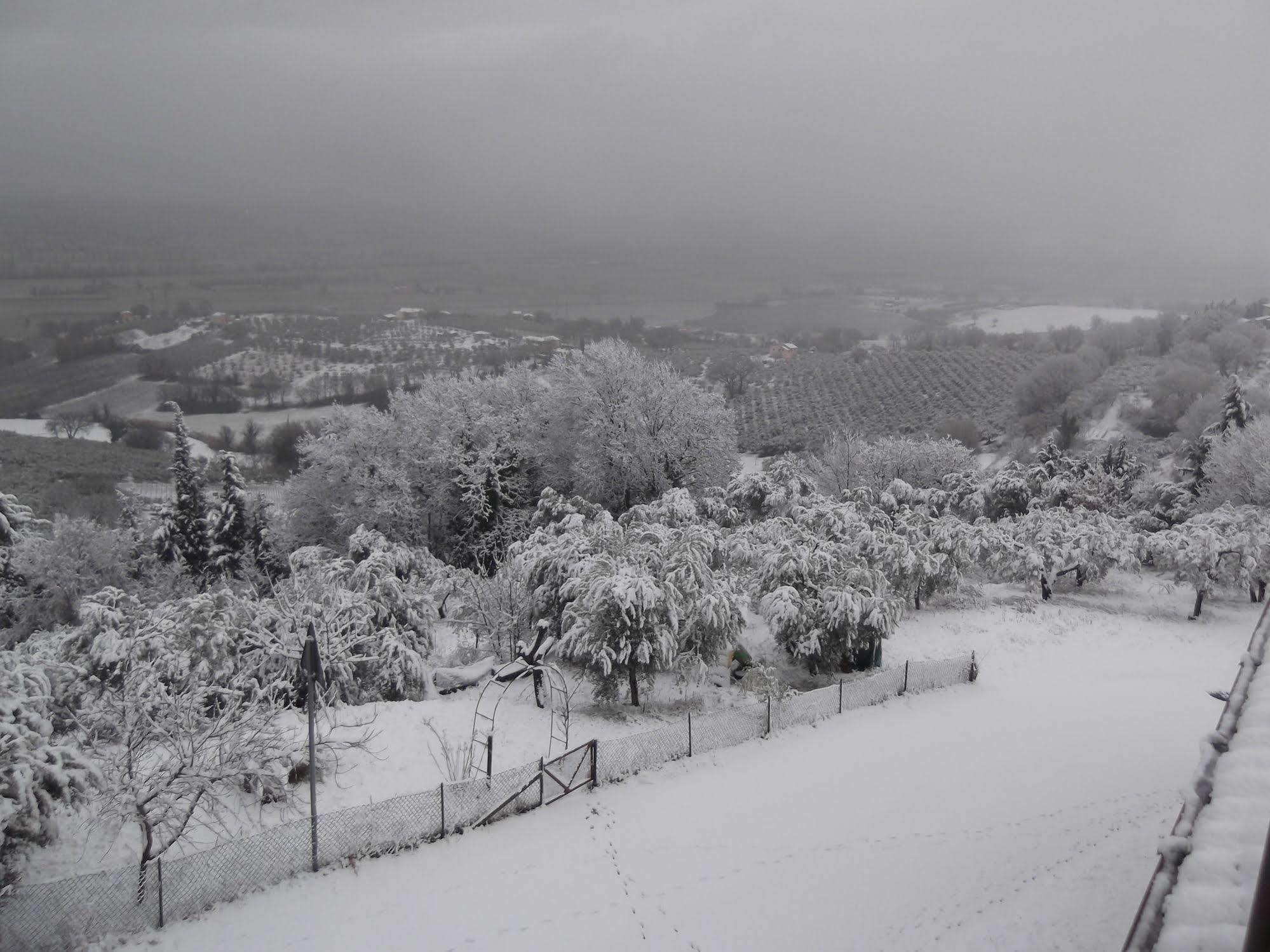 A Casa Di Mi Appartamenti Vacanza Montefalco Exterior foto